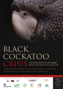 Black Cockatoo Crisis<p>(Australia)